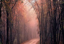 爆冷！0-1！意甲第3轰然倒下，遭遇两连败，争冠形势恶化.