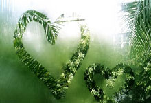 国际奥委会授予巴赫终身名誉主席称号.