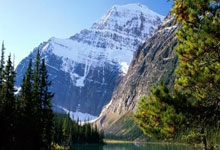 国足传喜讯!25岁的他申请变更国籍九派新闻.